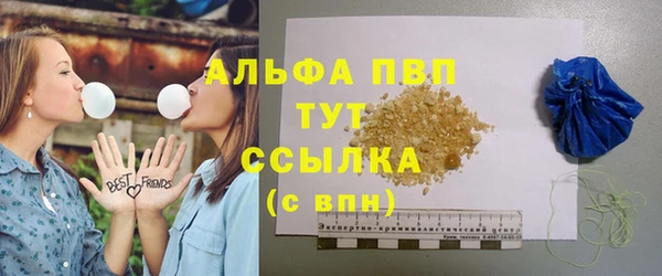 крисы Корсаков