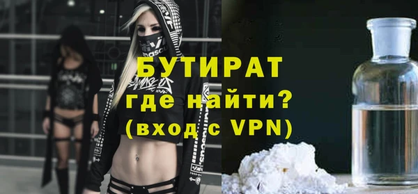 крисы Корсаков