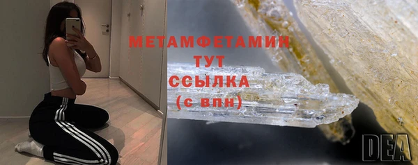 крисы Корсаков