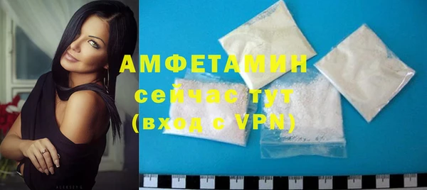 крисы Корсаков