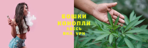 амф Костерёво