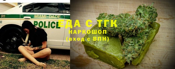 крисы Корсаков