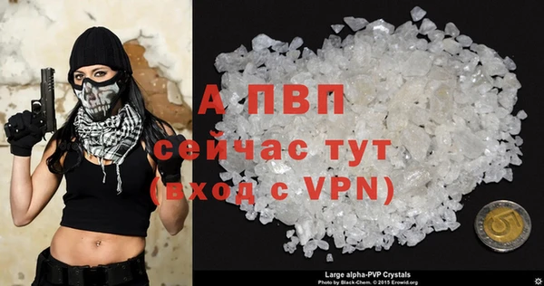 амф Костерёво