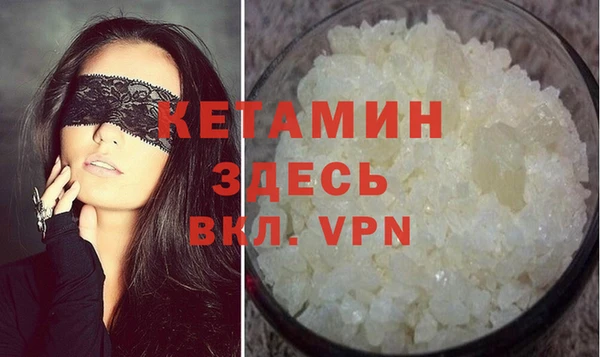 крисы Корсаков