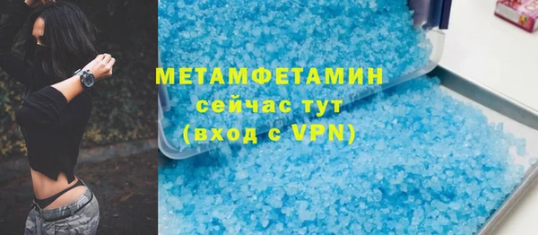 крисы Корсаков
