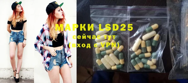 крисы Корсаков