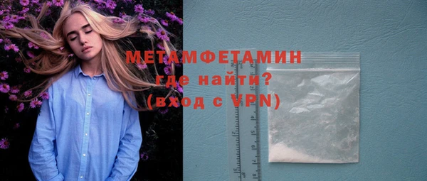 крисы Корсаков